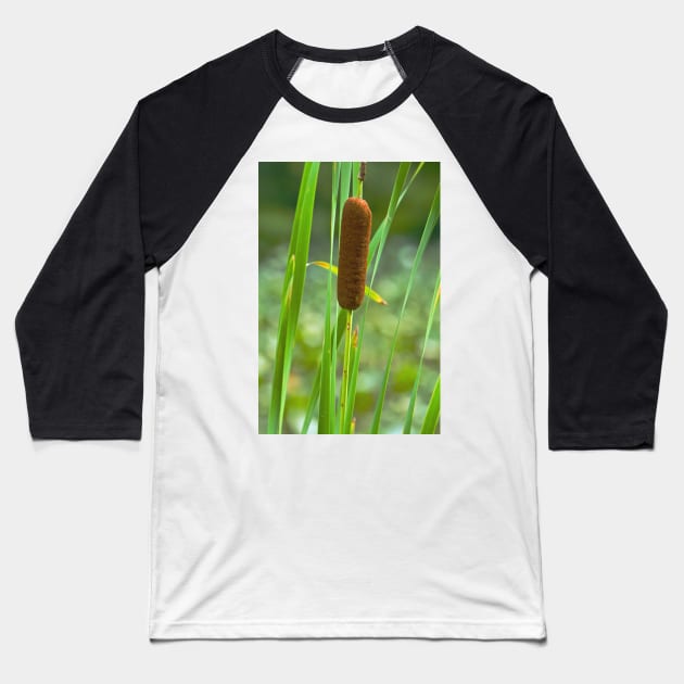 Cattail Baseball T-Shirt by thadz